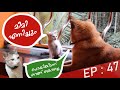 Fishing Freaks Puppykuttan | Puppykuttan Webseries Malayalam comedy FUN DUB ep47