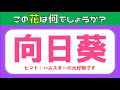 【花の漢字クイズ全15問】簡単編!高齢者向け脳トレ問題を紹介【ヒント付き】