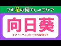 【花の漢字クイズ全15問】簡単編！高齢者向け脳トレ問題を紹介【ヒント付き】