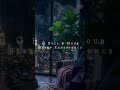 POV: You Booked the World's Most Relaxing Hotel 🌙