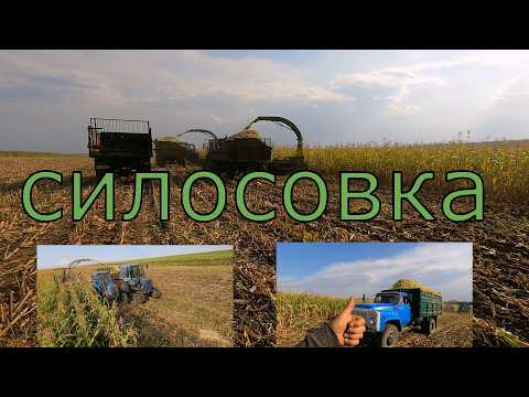 Видео: Косим кукурузу на силос . У нас так ...