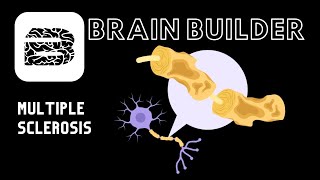 The Brain and Multiple Sclerosis | Real 3D Anatomy | BodyViz Brain Builder
