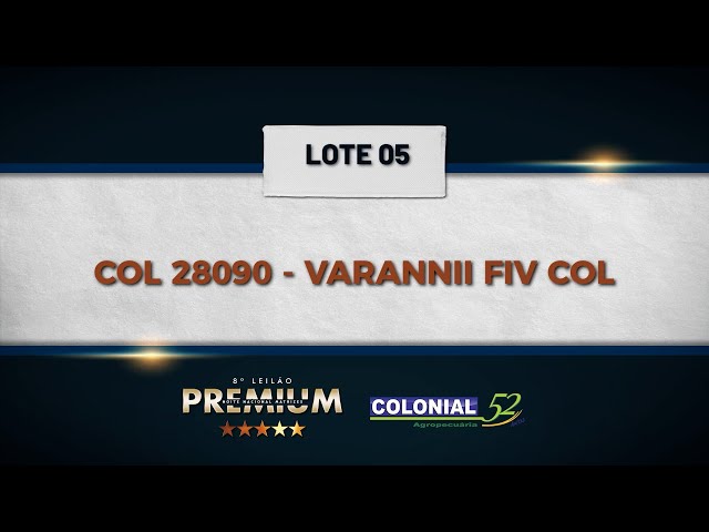 LOTE 05 COL 28090