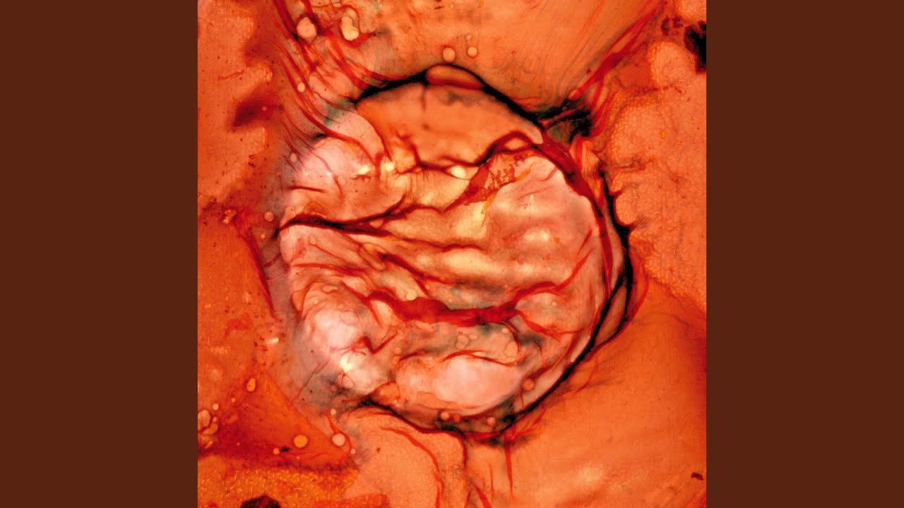 Watch She on YouTube Watch She on YouTube