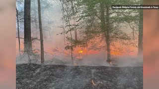 Gov. Abbott issues disaster declaration due to Texas wildfires