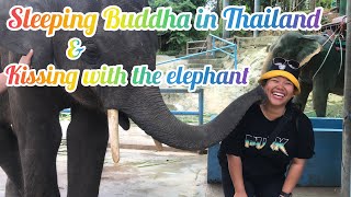 Sleeping Buddha in Thailand and kissing with the elephant