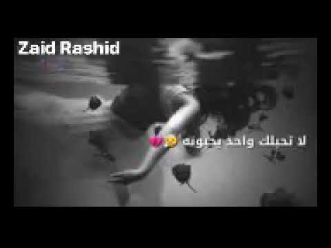 لا تحبلك واحد يحبونه مع الكلمات