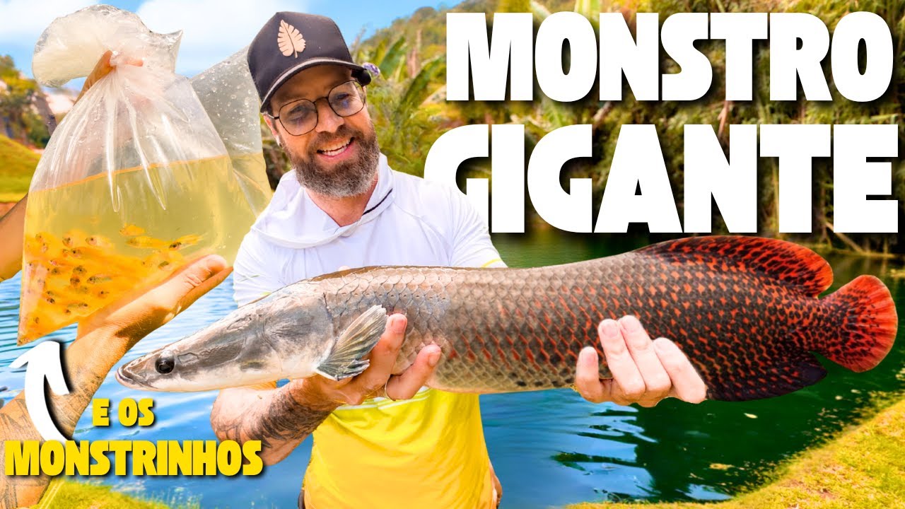 Soltei um PEIXE MONSTRO no meu lago!