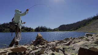 Platoro 2024 - Crystal Clear Lake with Tons of Fish