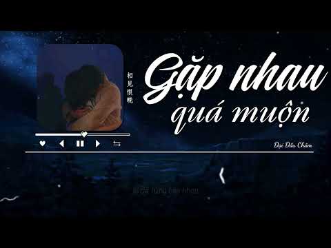 Gặp Nhau Quá Muộn Đại Đầu Châm 相见恨晚 大头针 Vietsub Pinyin 