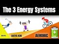 Energy Systems in Action: Unleashing the Power of ATP