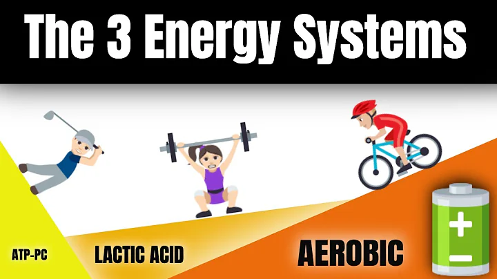 Learn the 3 Energy Systems! ATP-PC, Lactic Acid & Aerobic