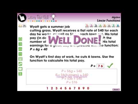 CC7311 Algebra: Linear Functions - Learn the Skill Mini
