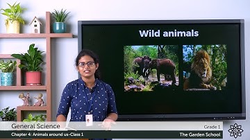Grade 1 General Science Chapter 4 Class 1 Animals around us
