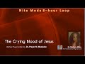 The crying blood of jesus warfare prayer nite mode 8hour loop