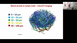 Lymphatic System Transport and Vaccine Design: James Moore