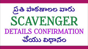 How to confirm scavenger details in IMMS app