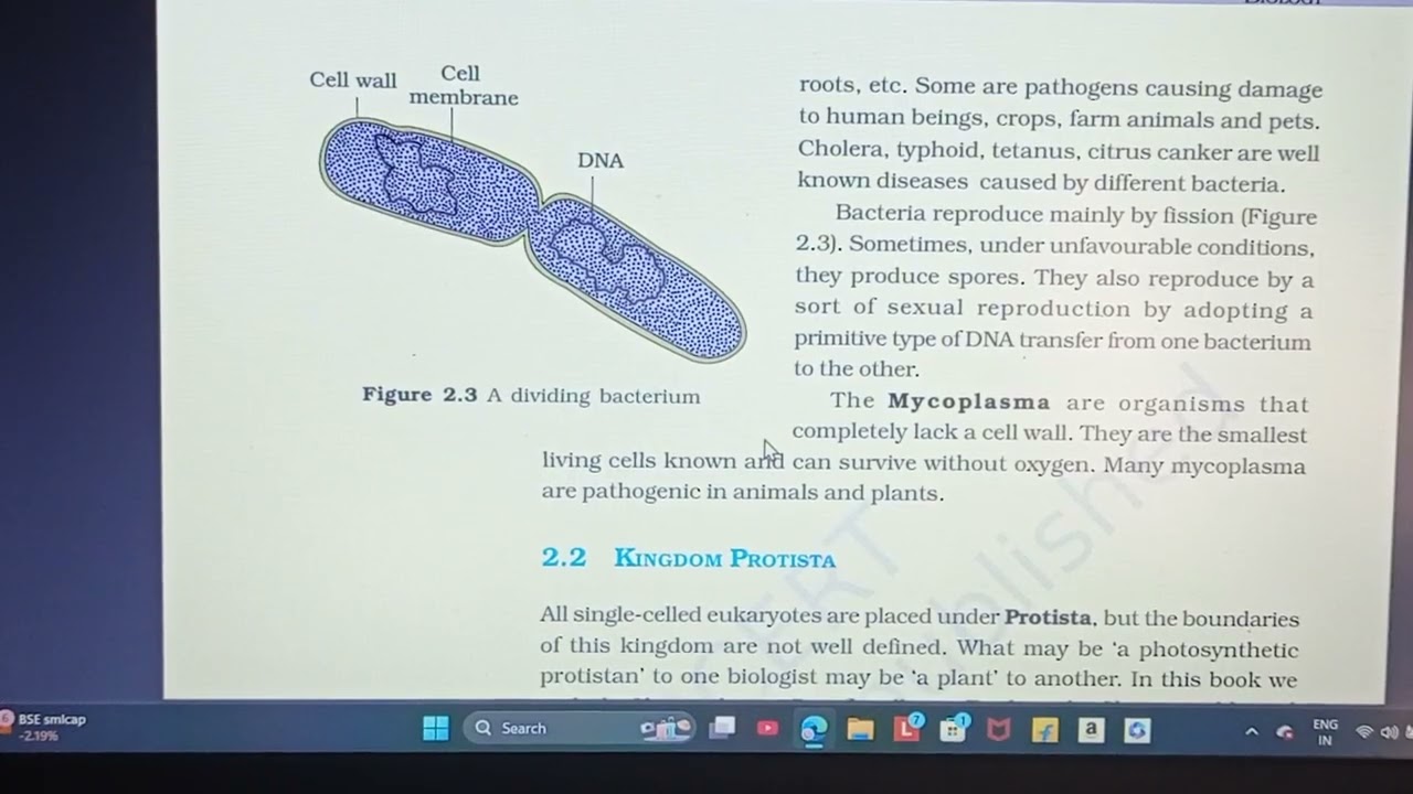 Ncert reading( biological classification )class 11 chapter 2