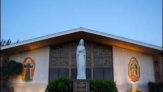 St Lucy Parish Livestream