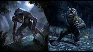 Physicalities of Werewolves
