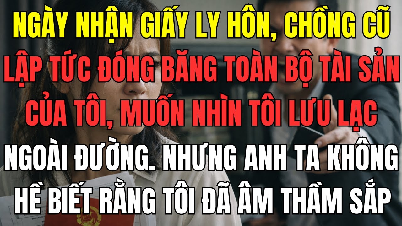Ngày nhận giấy ly hôn, chồng cũ lập tức đóng băng toàn bộ tài sản của tôi, muốn nhìn tôi lưu lạc