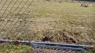 Four inmates escape Georgia jail