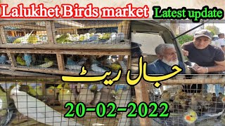 Lalukhet Sunday Birds Market video Latest update 20- 02-2022 Urdu\/ Hindi