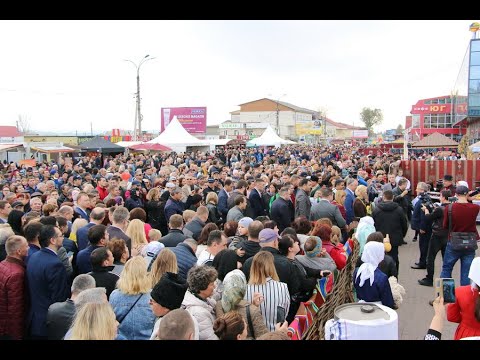 LIVE: Фестиваль вина