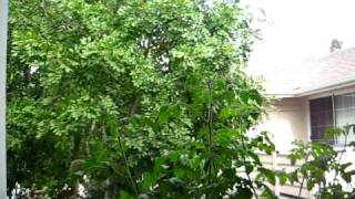 MVI_8234.AVI