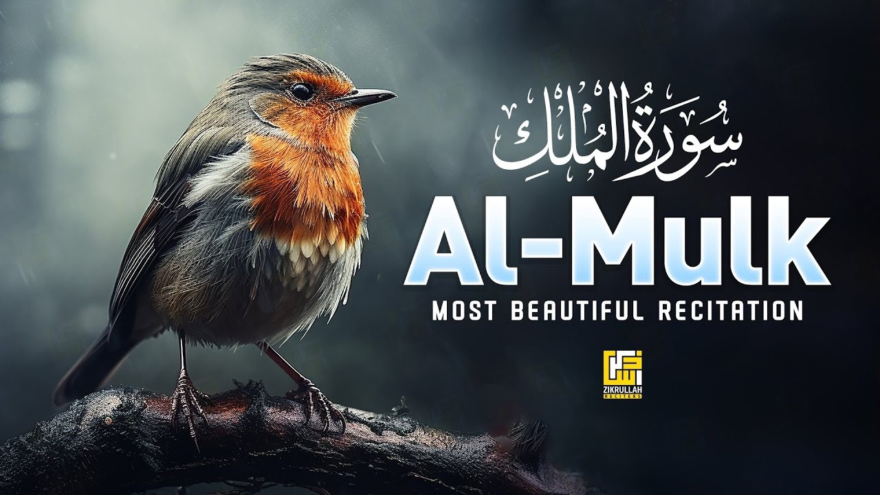 Surah AL Mulk - سورة الملك | A Calming Recitation And Relaxing Voice | Zikrullah Reciters