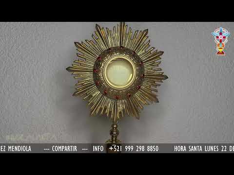 HOLY HOUR MONDAY JUNE 22, 2026 WITH PRAYER FOR HEALING AND INNER DELIVERANCE