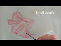 Botanical watercolor lessons at Hanbury Gardens online video tutorial Fourth lesson: Brugmansia