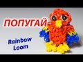 ПОПУГАЙ из резинок Rainbow Loom Bands. Урок 148 | Parrot charm