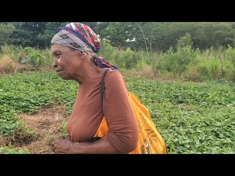 SHAN ZENZEN JAMAICAN VIBEZ LIFE UPDATE #shanzenzenjamaicanvibez #love #givingback