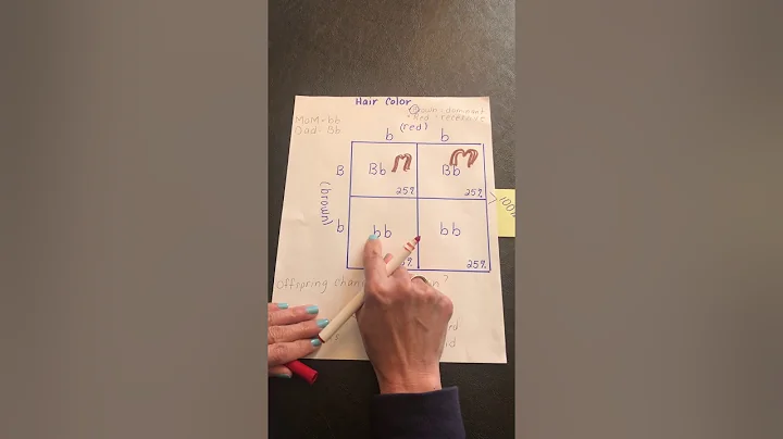 Punnett Square Practice - Video 1