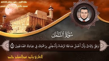 سورة النمل القارئ وليد عبد العظيم محمد