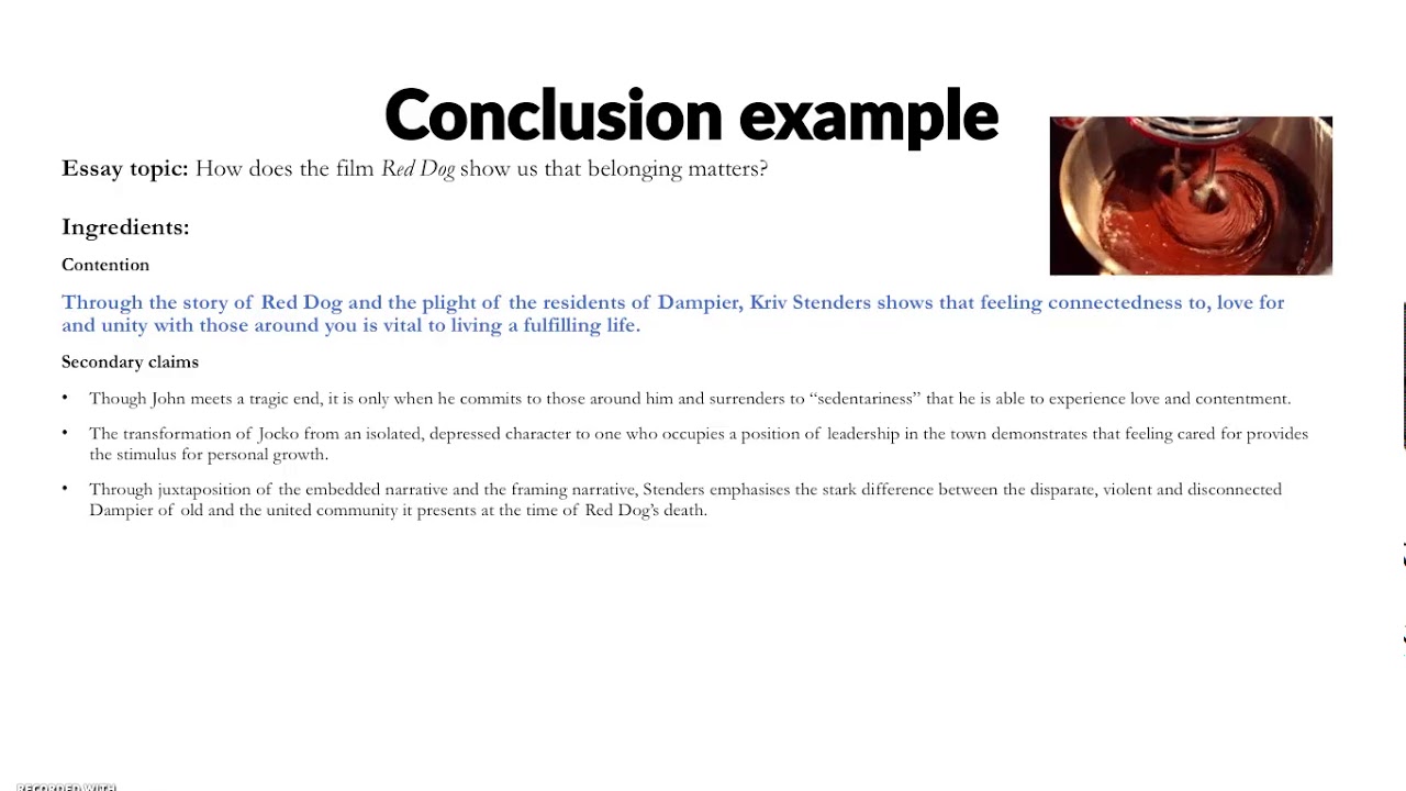 Red dog essay examples picture