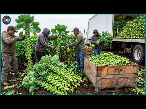 50+ Most Epic Winter Harvests: The Rush of 2026 Farming & Deep-Sea Fishing Seasons
