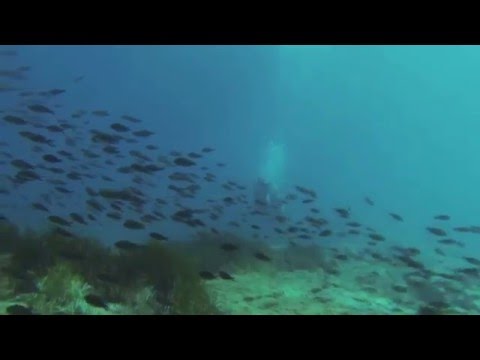 Turkey Scuba Diving