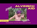 #AlvinschAid CONCIERTO en Directo