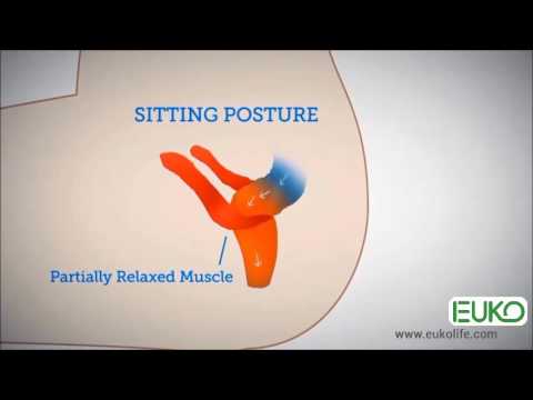 Video GHẾ XỔM EUKO SQUATPRO : TƯ THẾ NGỒI VỆ SINH ẢNH HƯỞNG... - youtube