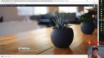 Báo cáo Athena [Tuần 2]-  Hướng dẫn tạo website tin tức cơ bản bằng wordpress