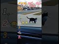 dog Kittylandfuny.pick#dog #kitty