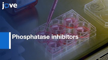 Cellular Target Engagement Assessed by Phosphatase inhibitors | Protocol Preview