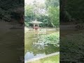 240726 창덕궁 후원 애련지 애련정