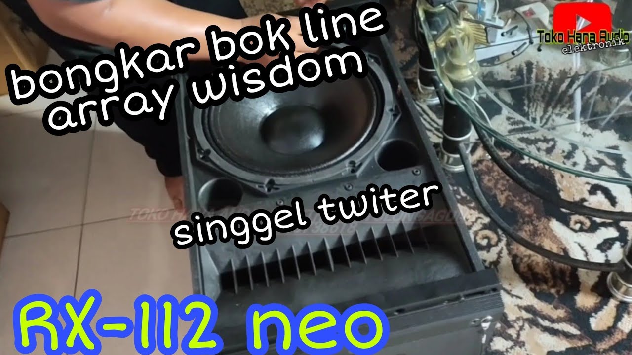 ternyata begini....!!  isi dari line array wisdom RX-112 Neo || part 2