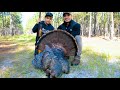Caza de Pavos Salvajes en la Florida. ''Turkey Hunting"