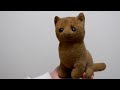 【説得】33年前のしろねこちゃんを洗濯してみた【前編】