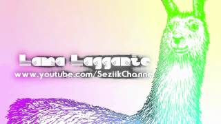 Porco Il Lama - Lama Laggante