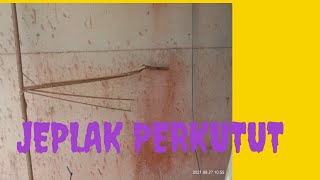 Cara Membuat Jeplak Burung Perkutut